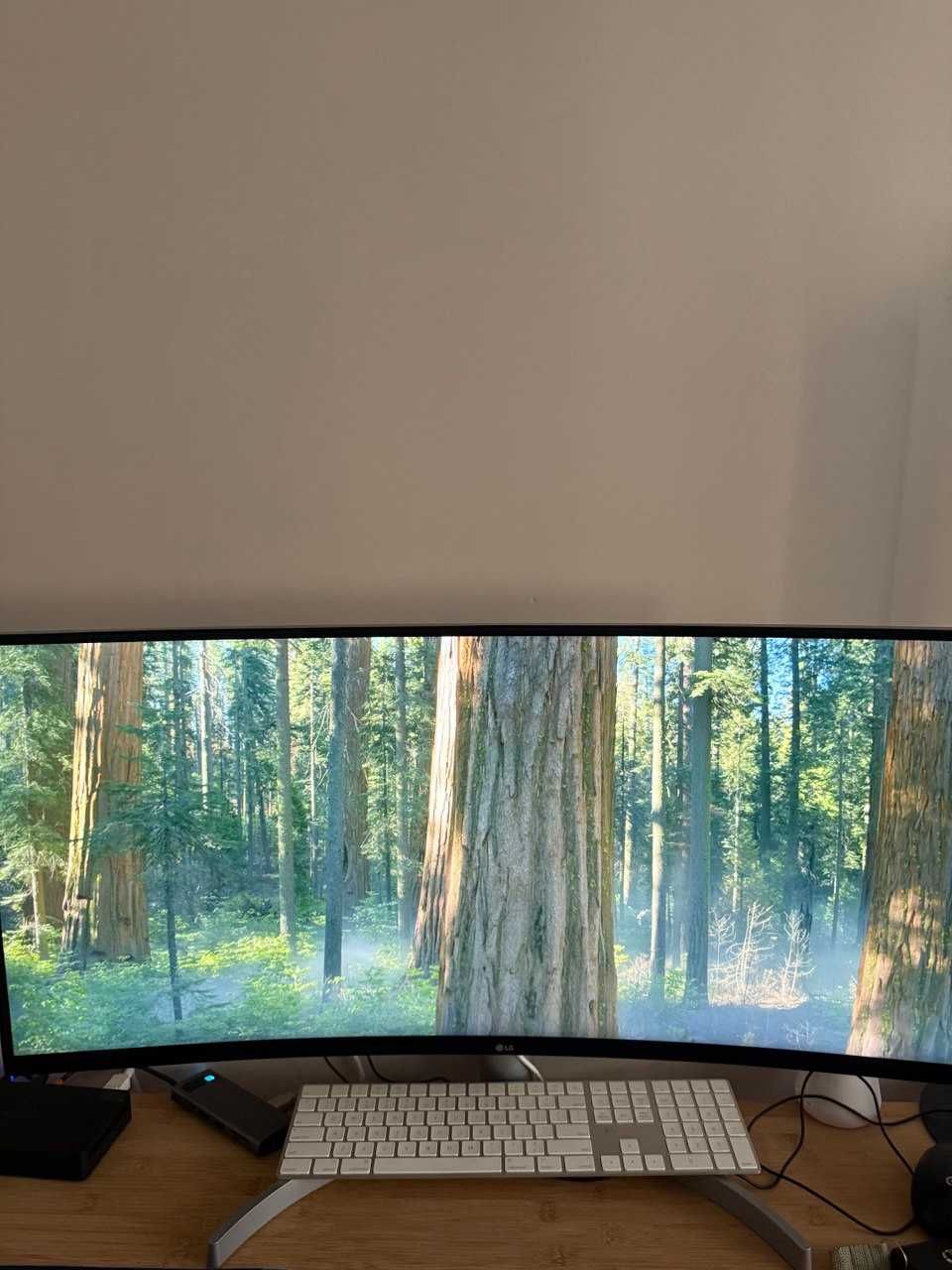 LG UltraWide Monitor Curved
