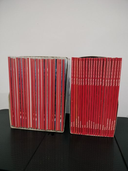 Curso de Inglês Profissional