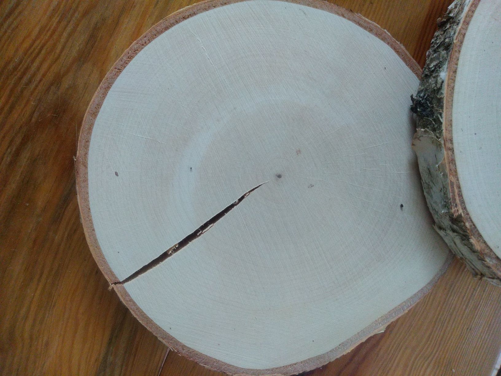 Plastry drewna brzozowego śr ok 18 -20 cm 20 szt, pęknięcia