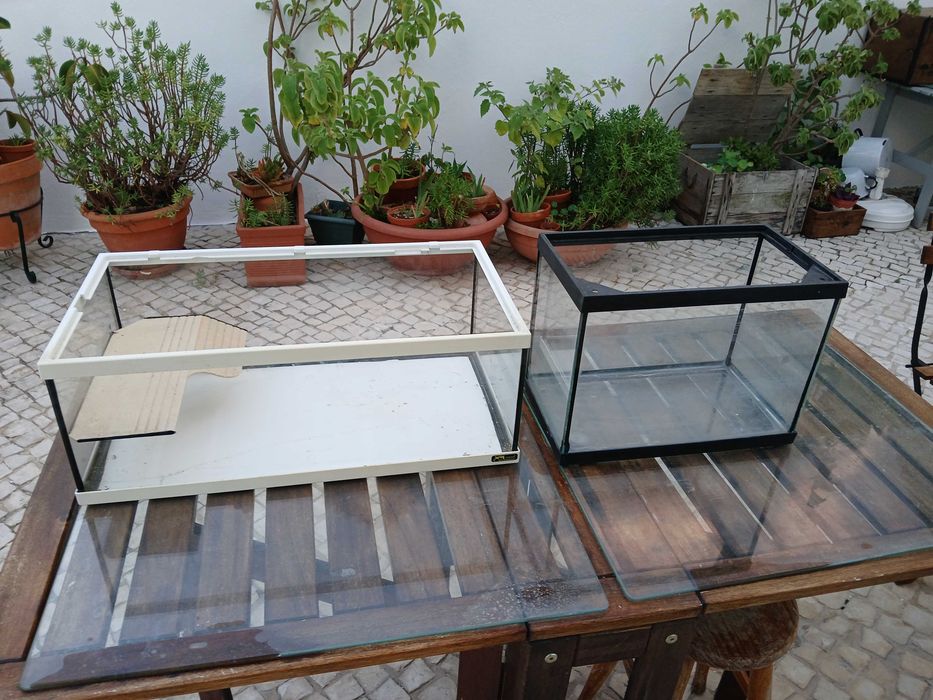 Vários aquários, pequenos e grandes usado