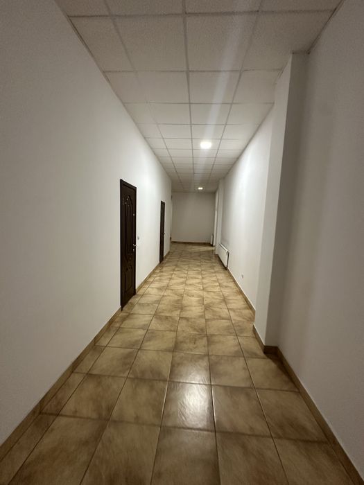Здам в центрі біля Ратуші офіс 33м2
