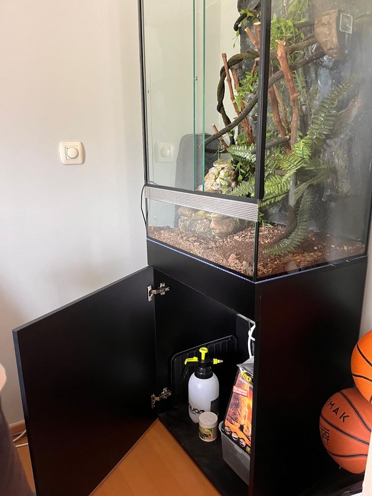 Terrário completo para reptil