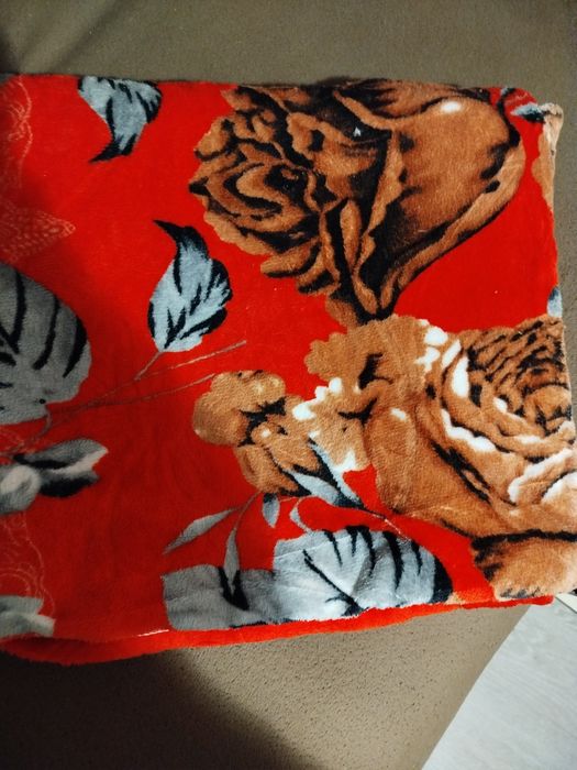 Великий плед євро