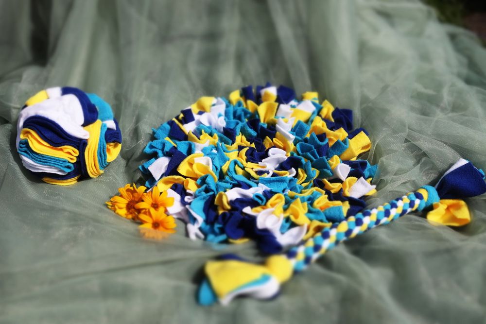 ZwierzoBox – zestaw kula, mata węchowa i szarpak dla psa