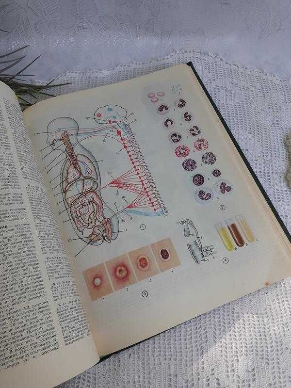 Популярная медицинская энциклопедия 1979 Петровский (Аборт - Ящур)