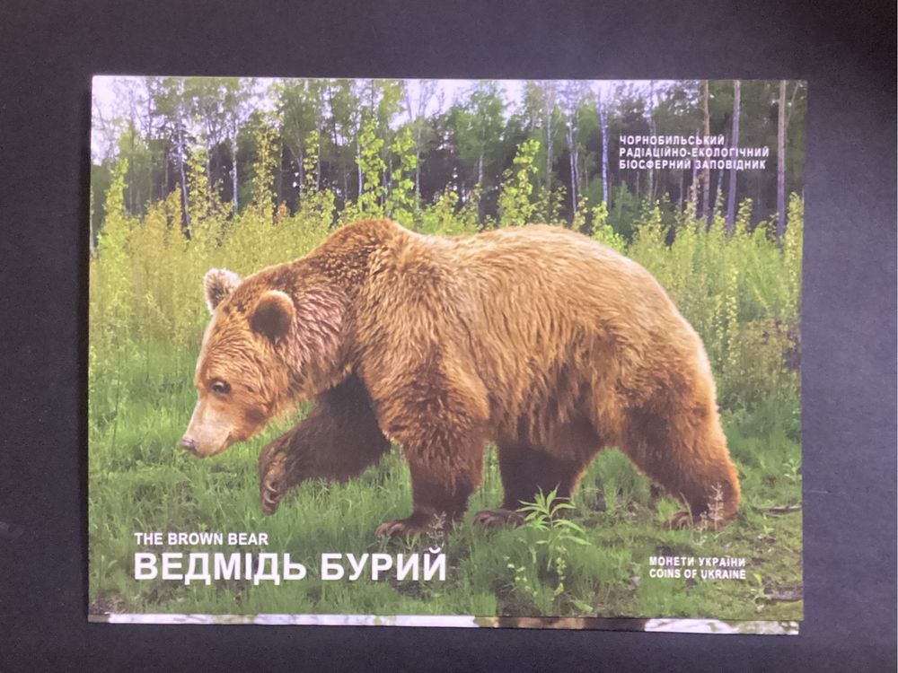 ведмідь бурий в сув.упаковці