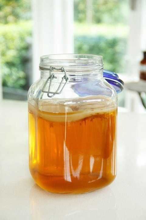 Grzybek Herbaciany 2szt Grzyb Kombucha Scoby 7cm Kombucza Starter