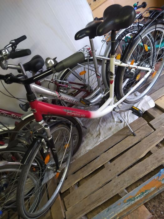 RowerCarver Cyco Kalkhoff City Star