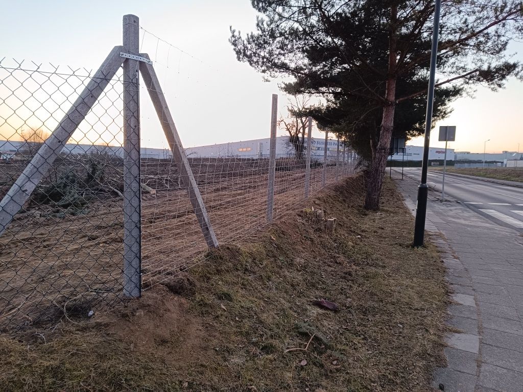 Ogrodzenia tymczasowe słupek betonowy drewniany siatka leśna