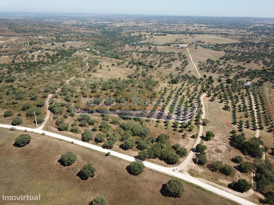 Terreno em Pavia, Mora (MOR058)