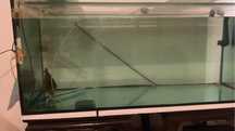 Aquario de 500 litros