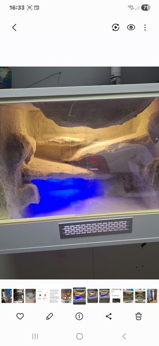 Terarium dla gekona agamy