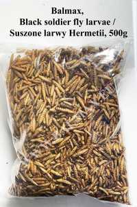 Balmax, Black soldier fly larvae / Suszone larwy Hermetii  /  500g.