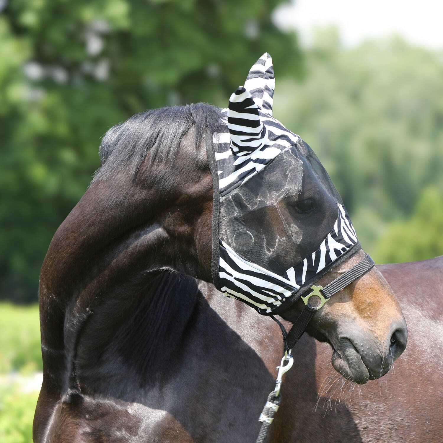 YORK maska przeciw owadom Zebra rozmiary