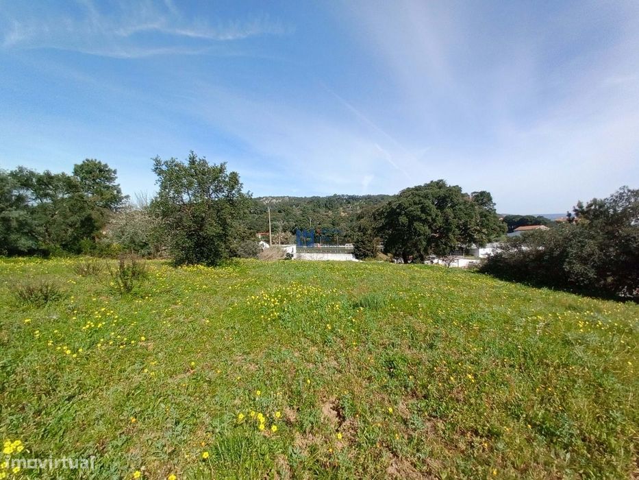 Terreno em Alcanena, para Turismo Rural