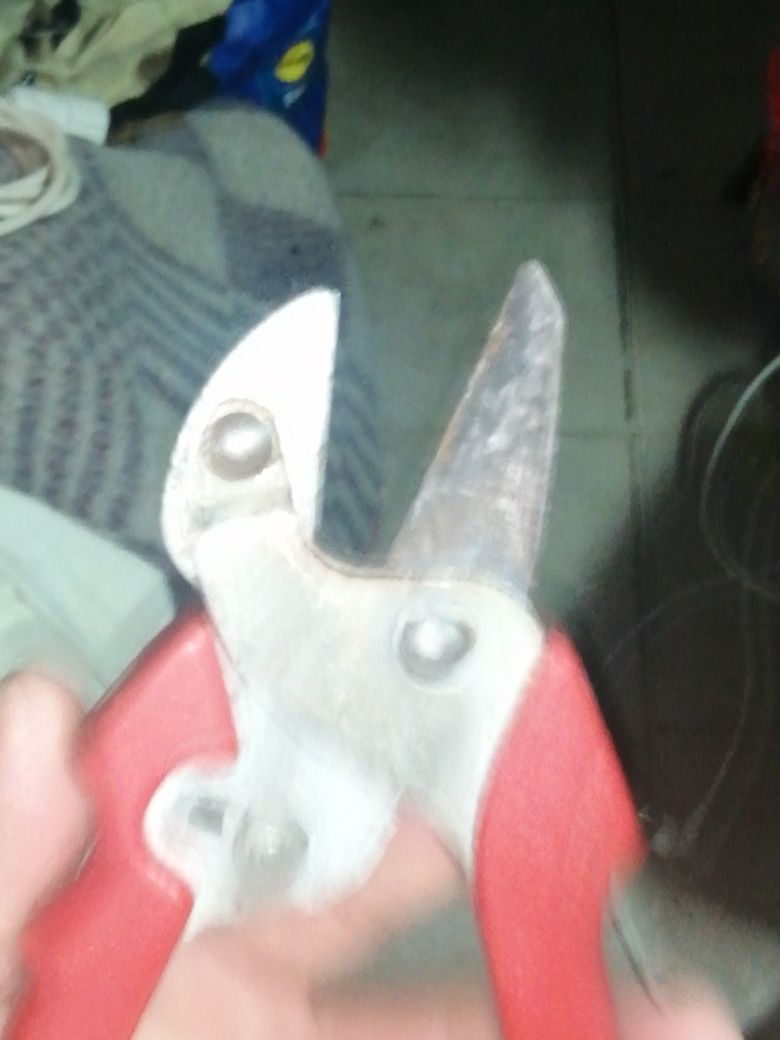 Tesoura de Poda muito bom estado