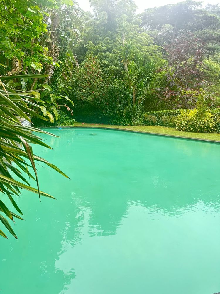 Limpeza e manutenção de Piscinas