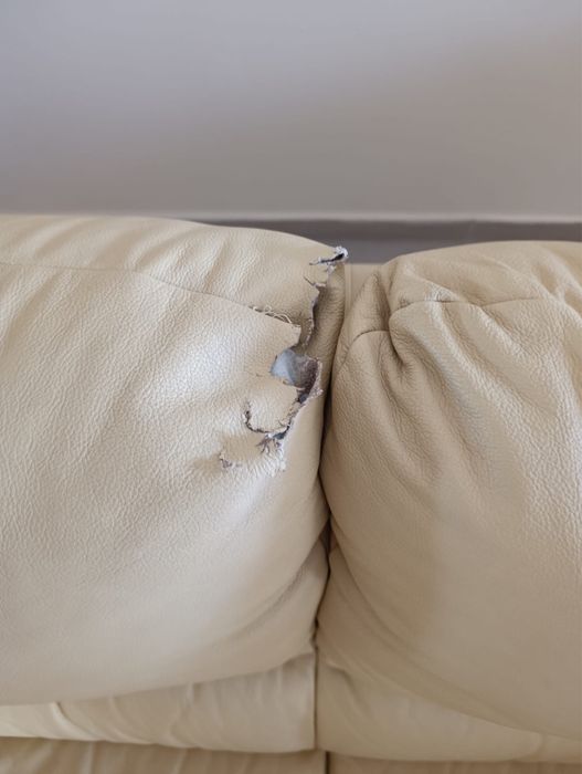 Conjunto de 2 sofas em pele