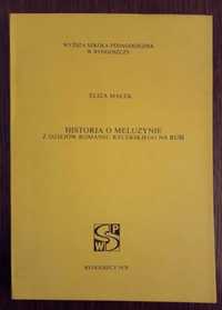 Historia o Meluzyna. Z dziejów romansu rycerskiego na Rusi - E. Małek