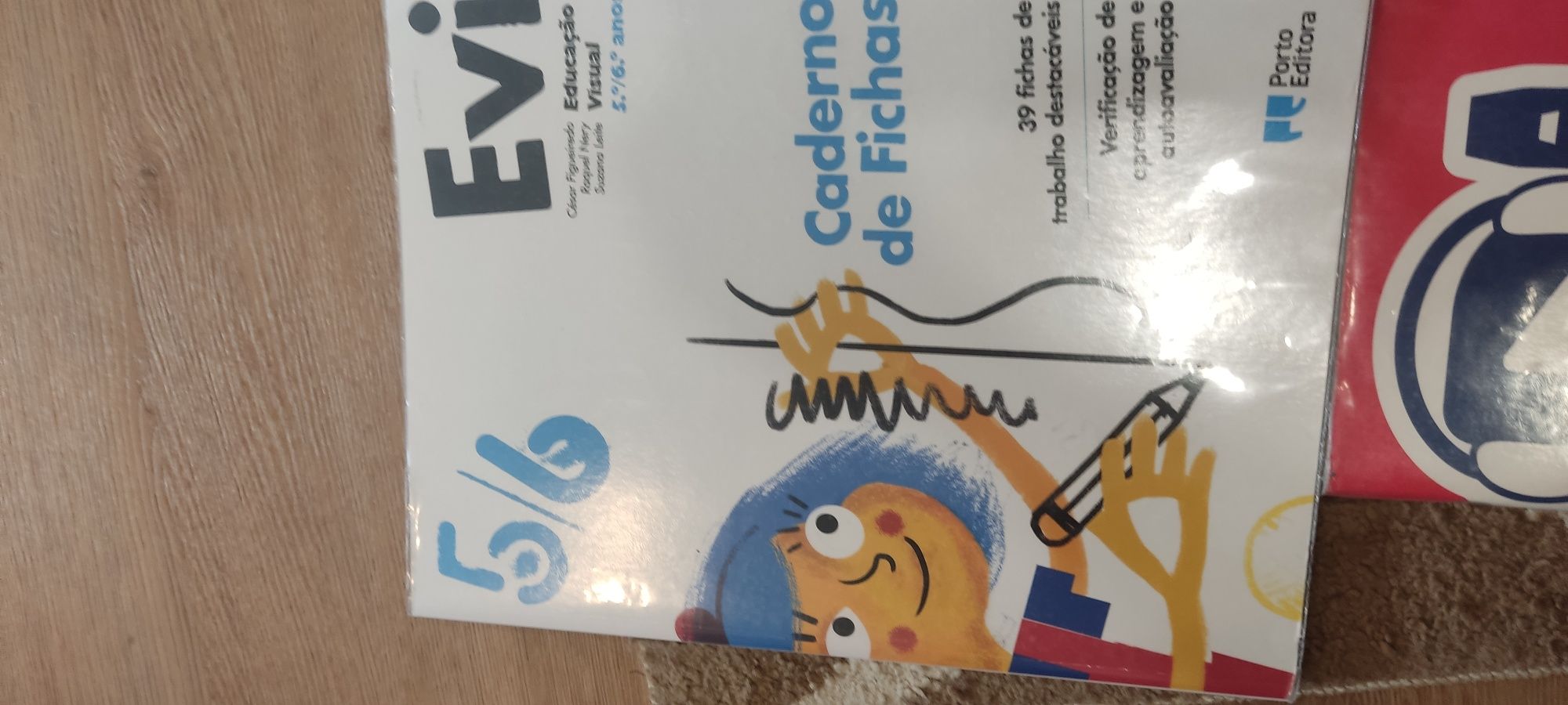 Cadernos fichad 5 ano NOVOS e encadernados