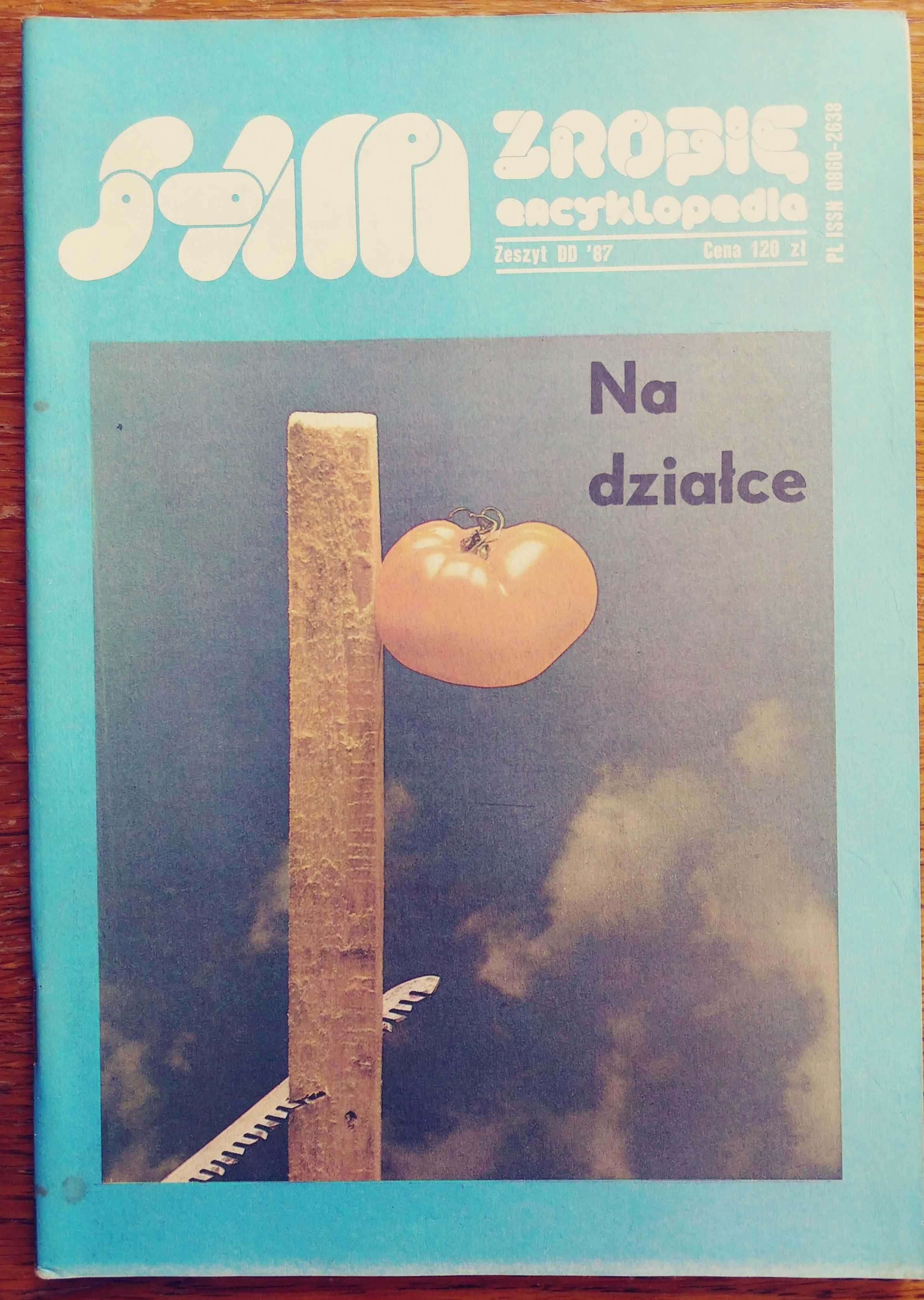 Sam zrobię czasopismo DD 1987