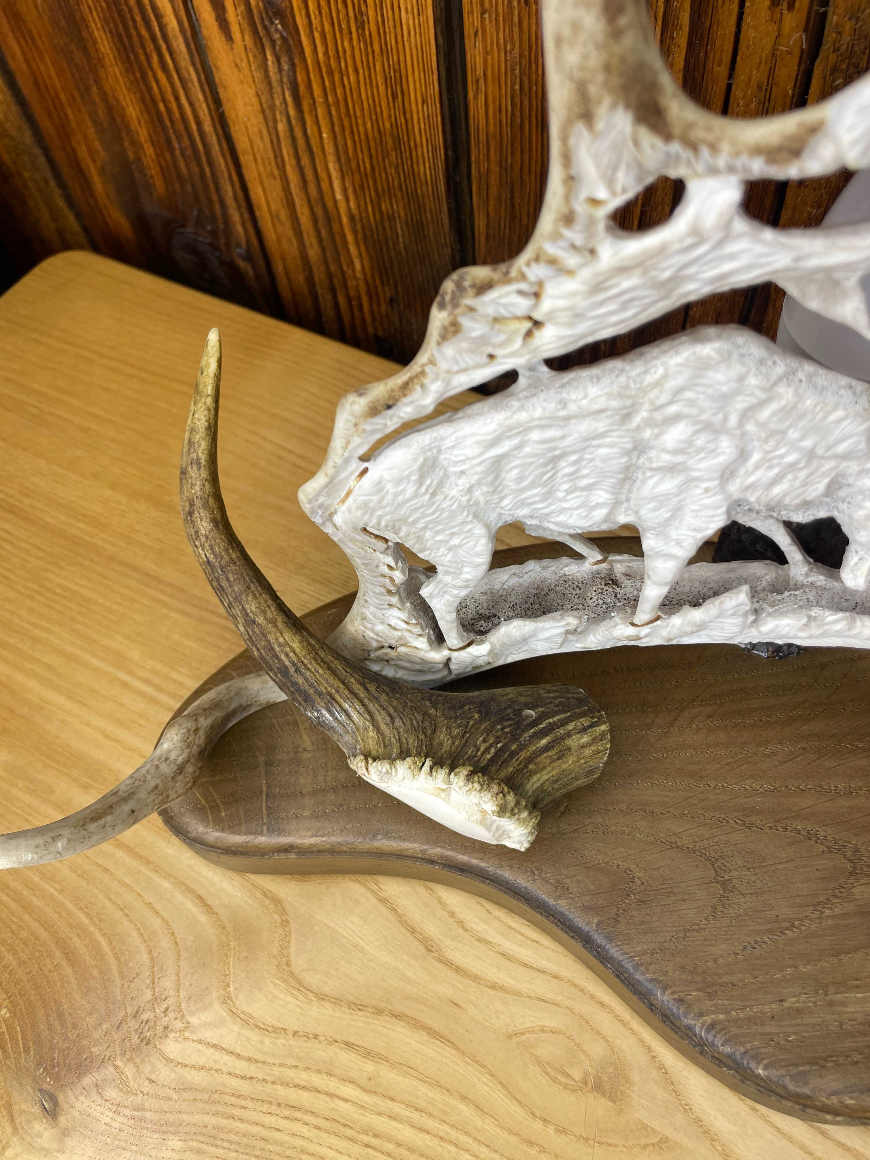 Lampka z poroża prezent poroże jeleń hand made daniel łoś P338