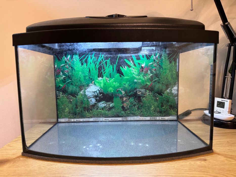 Akwarium 54L.