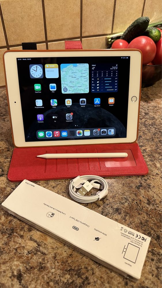 Tablet iPad Apple Retina - TOUCH ID - PROCREATE - iOS 17.7