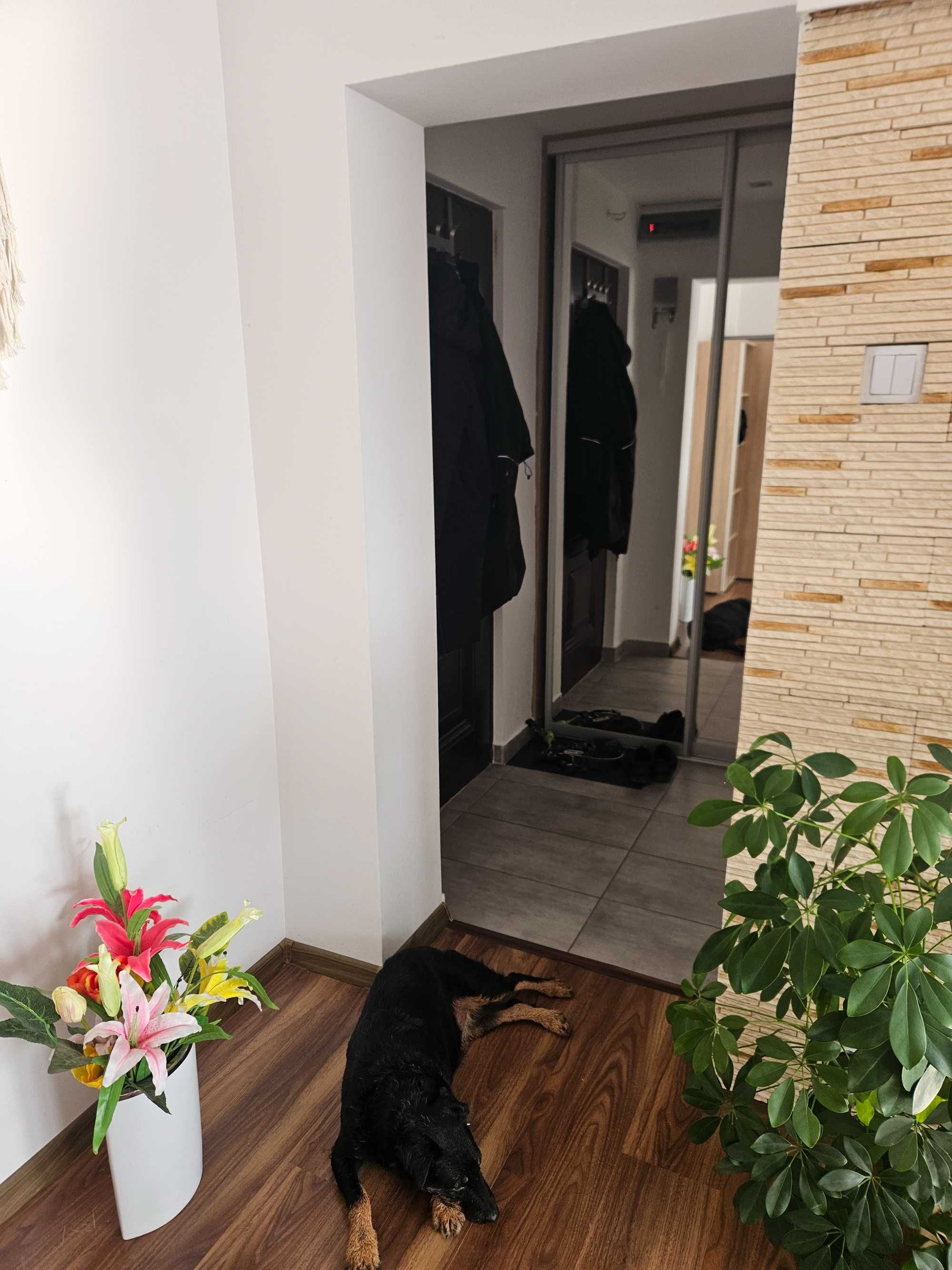 Kawalerka 27m Krzeszowice