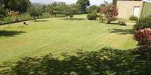 Jardinagem marco