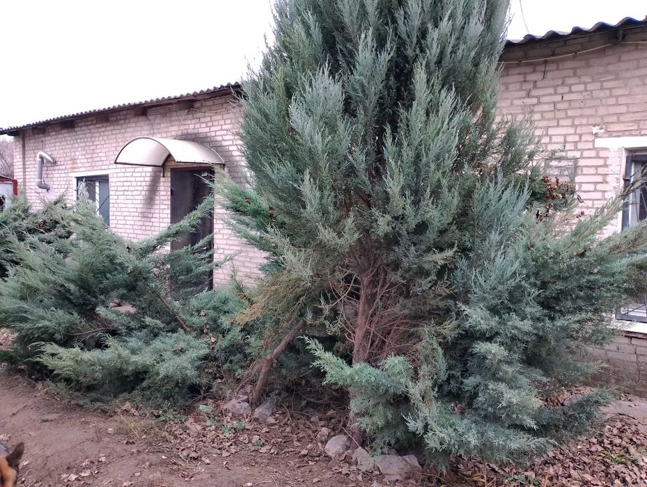 Сдам в аренду помещениепод жилье офис произвоство