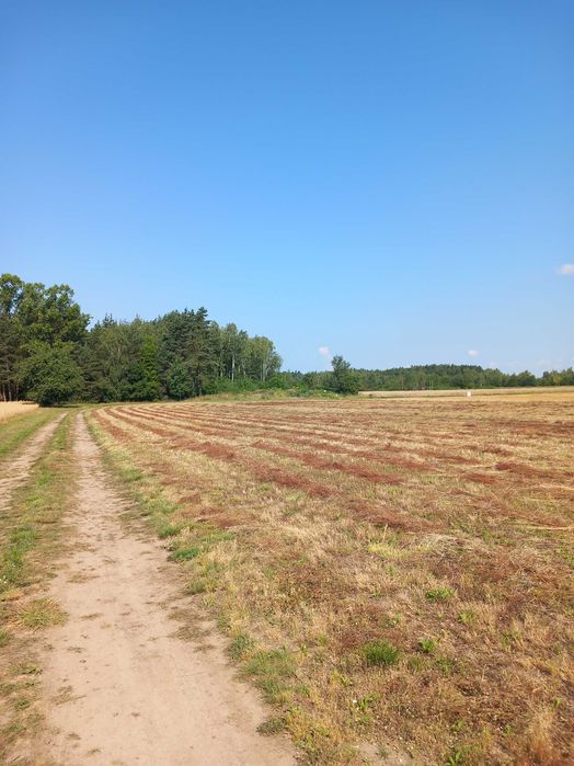 Sprzedam działki budowlane - Żukówka koło Sochaczewa