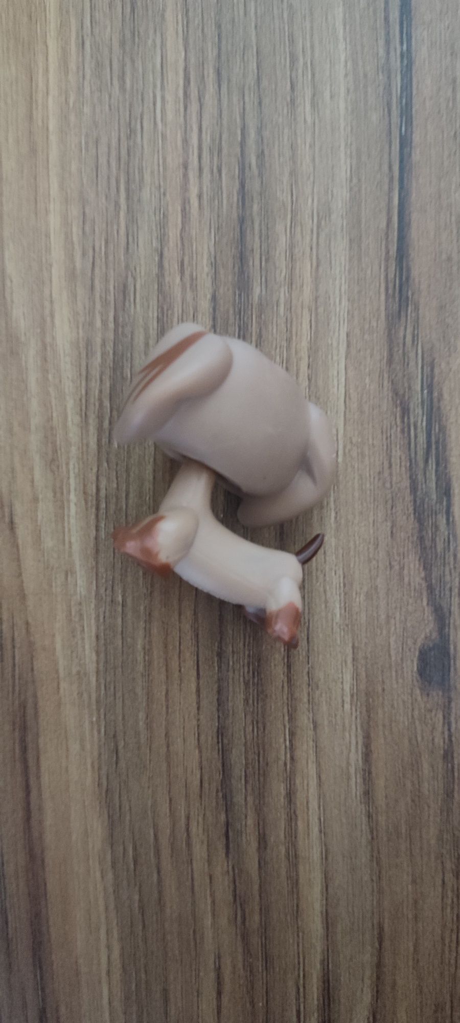 Littlest pet shop pop jamnik