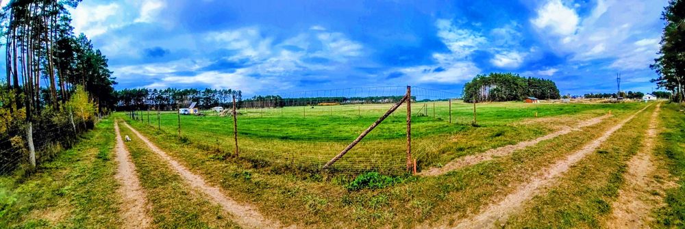 Działka budowlana w otoczeniu natury.