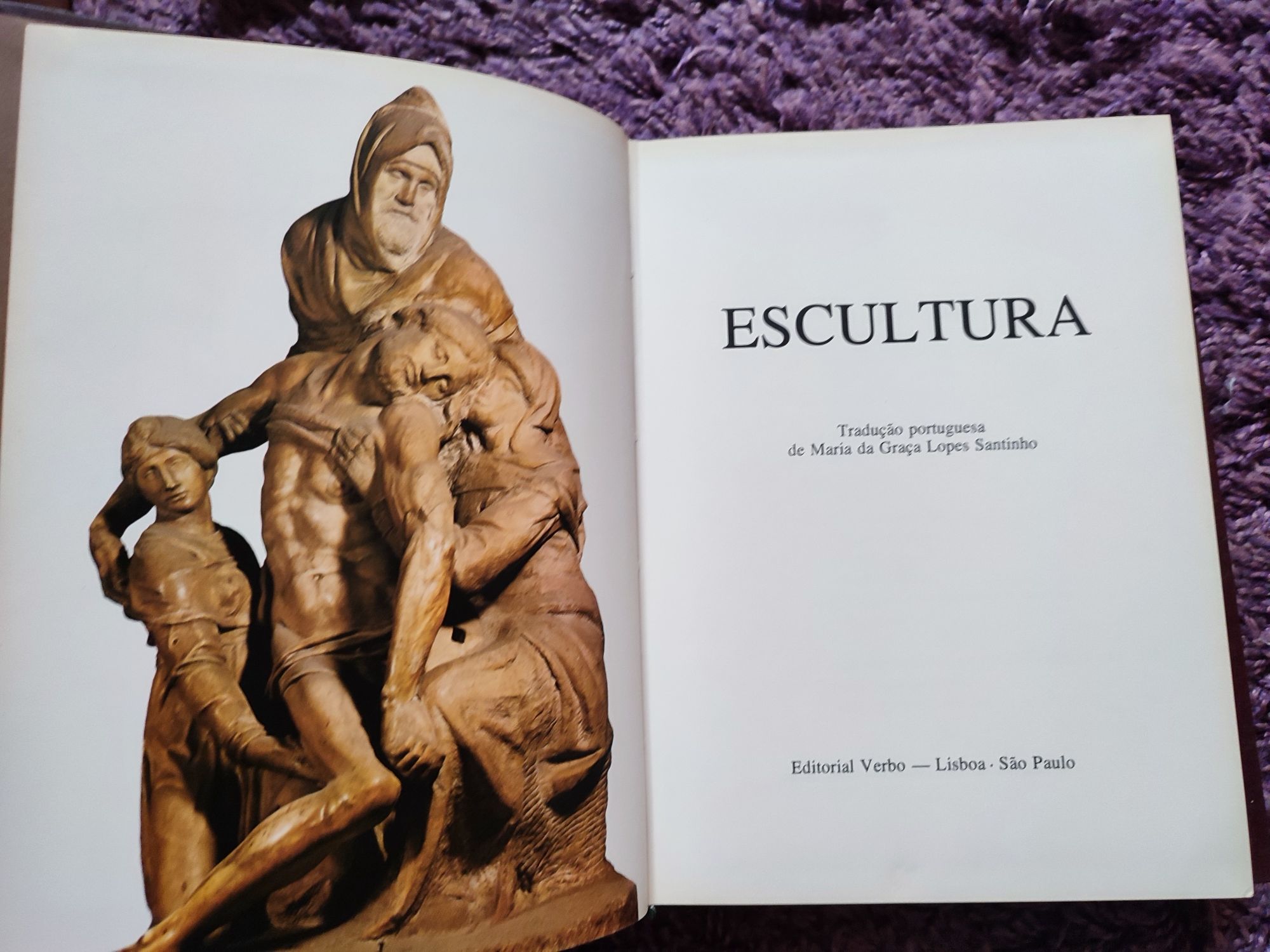 4 livros, mundo da cultura 
Escultura, 
Arquitetura, 
Pintura