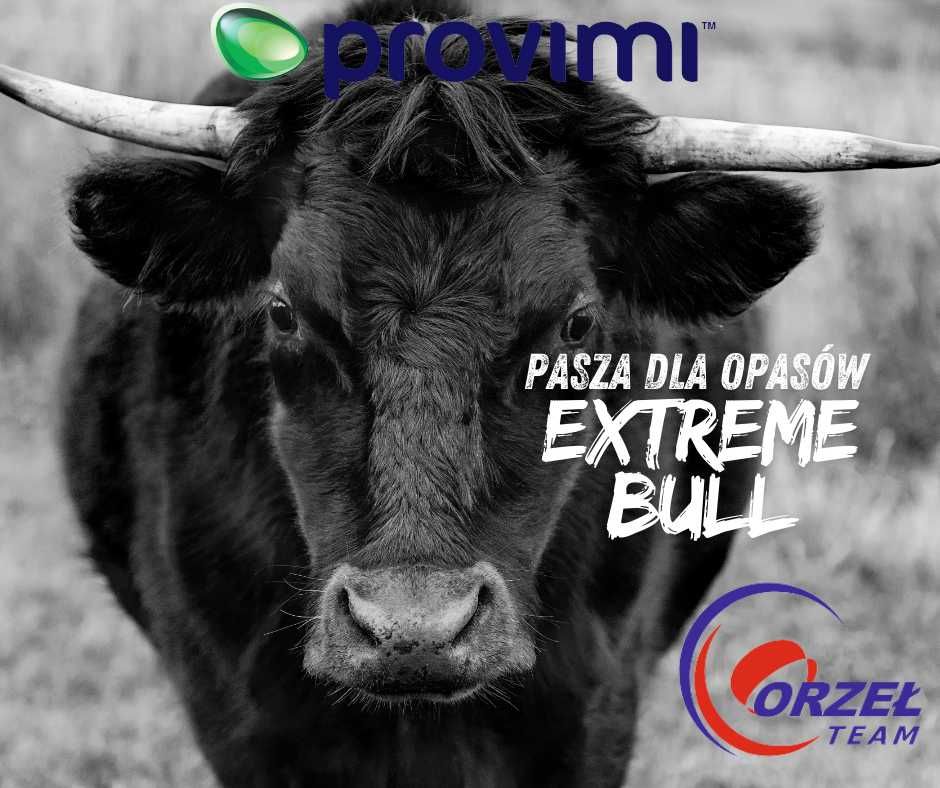Pasza dla bydła opasowego ExtremeBull 6.8MJ 18% białka.