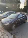 Peugeot 206 ano 2001 usado barato