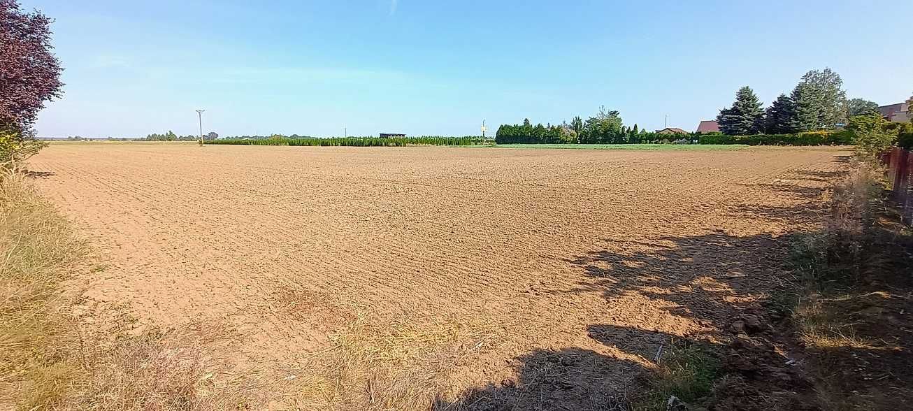 Działka Inwestycyjnej z Potencjałem na Wymarzony Dom