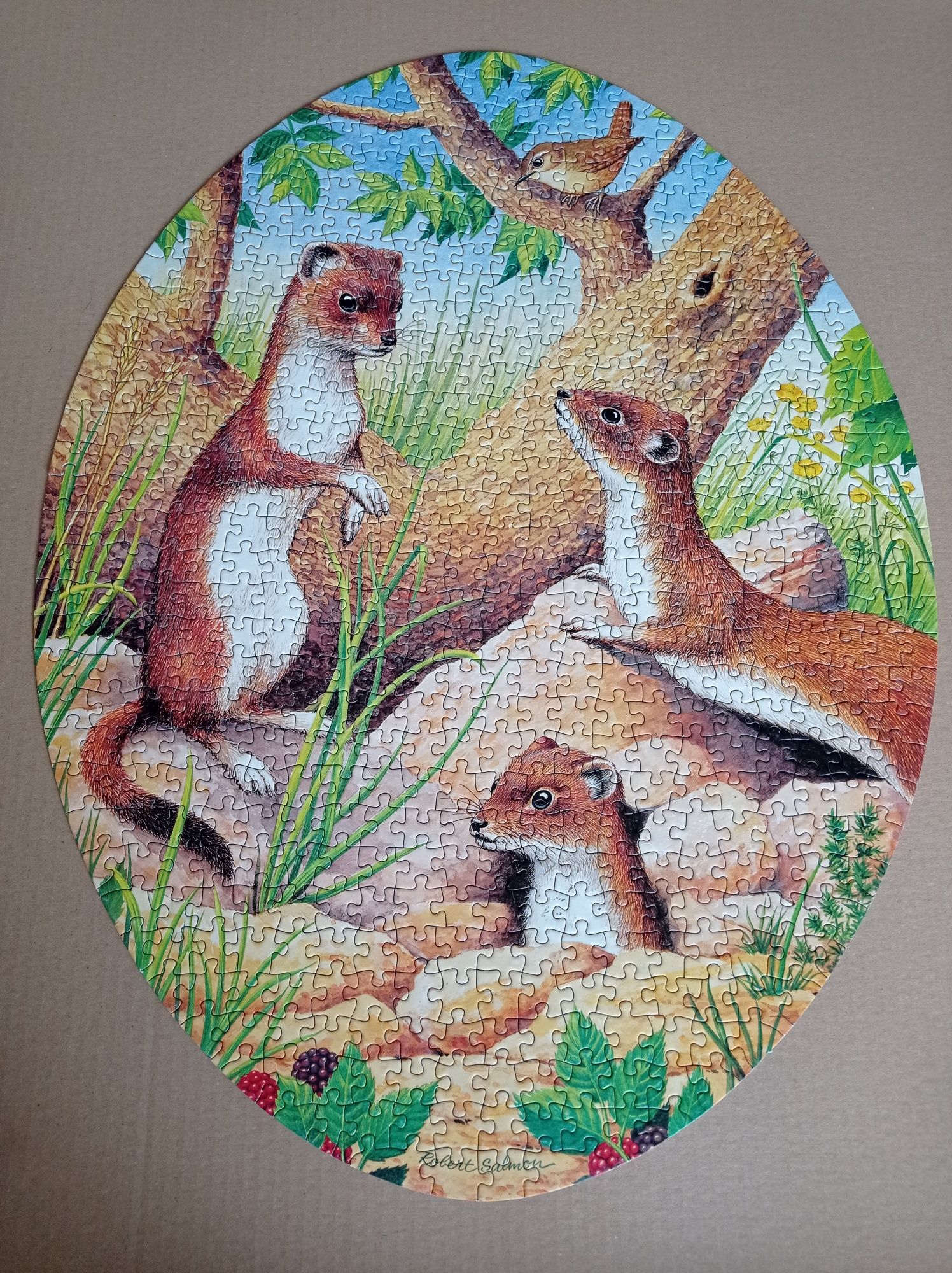 Puzzle JR Deluxe 600, owalne, Wildlife Collection, Gronostaje, komplet