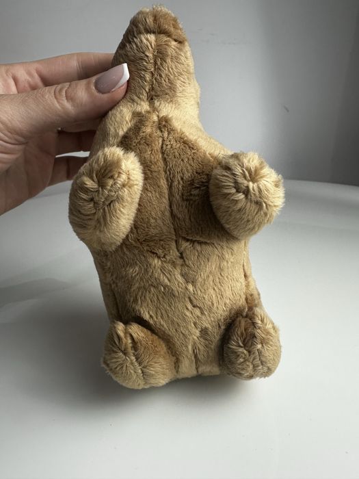 Nowa uśmiechnieta kapibara