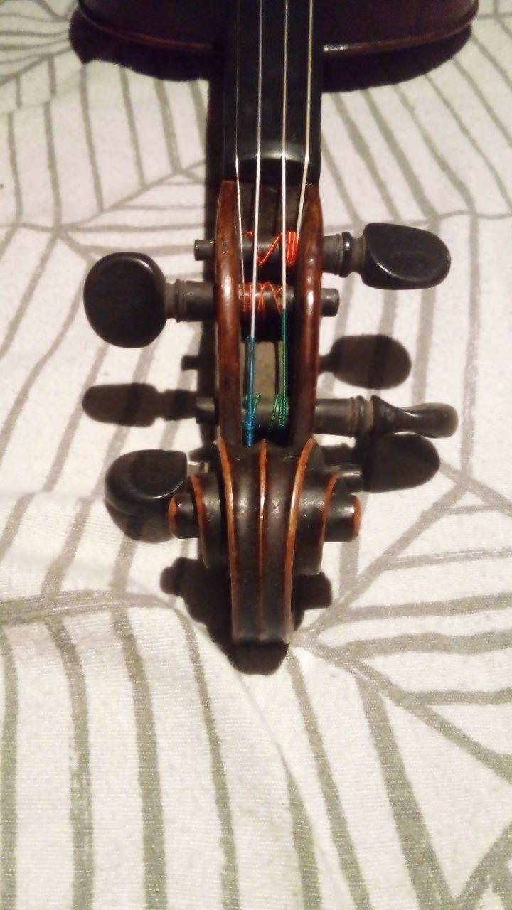 Violino design alemão