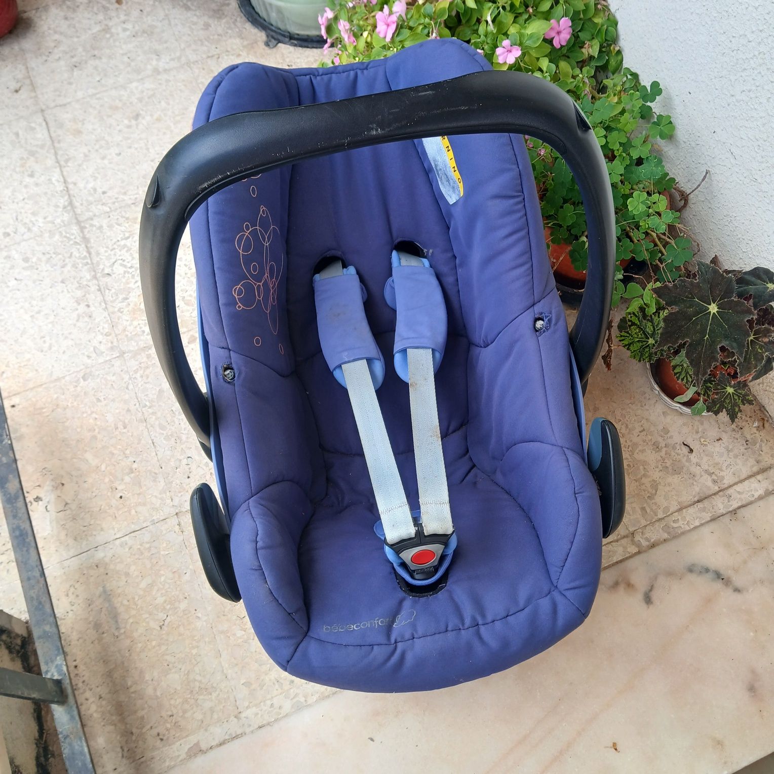 Bebé cadeirinha ovinho