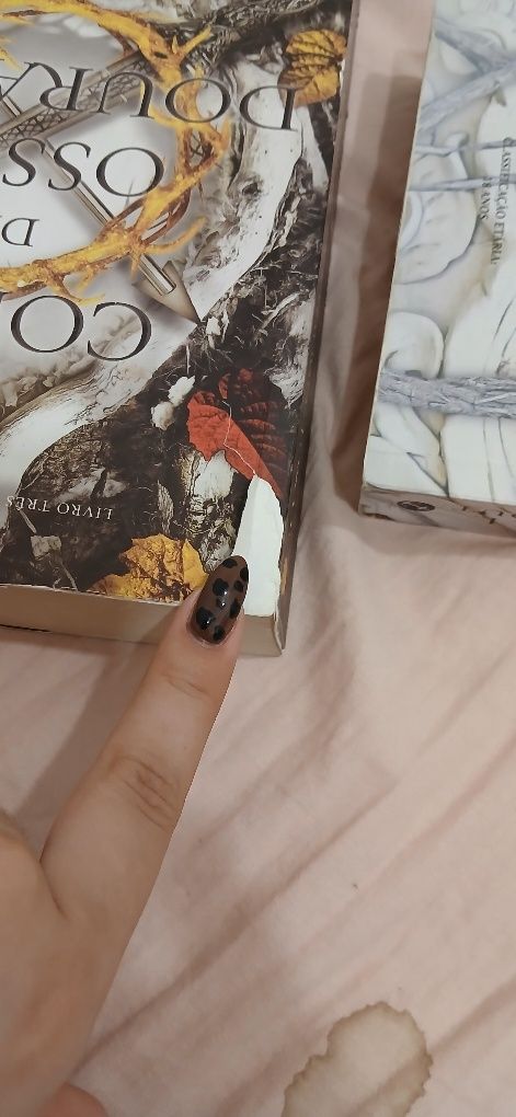 Volume 1 e 2 da saga DE SANGUE E CINZAS