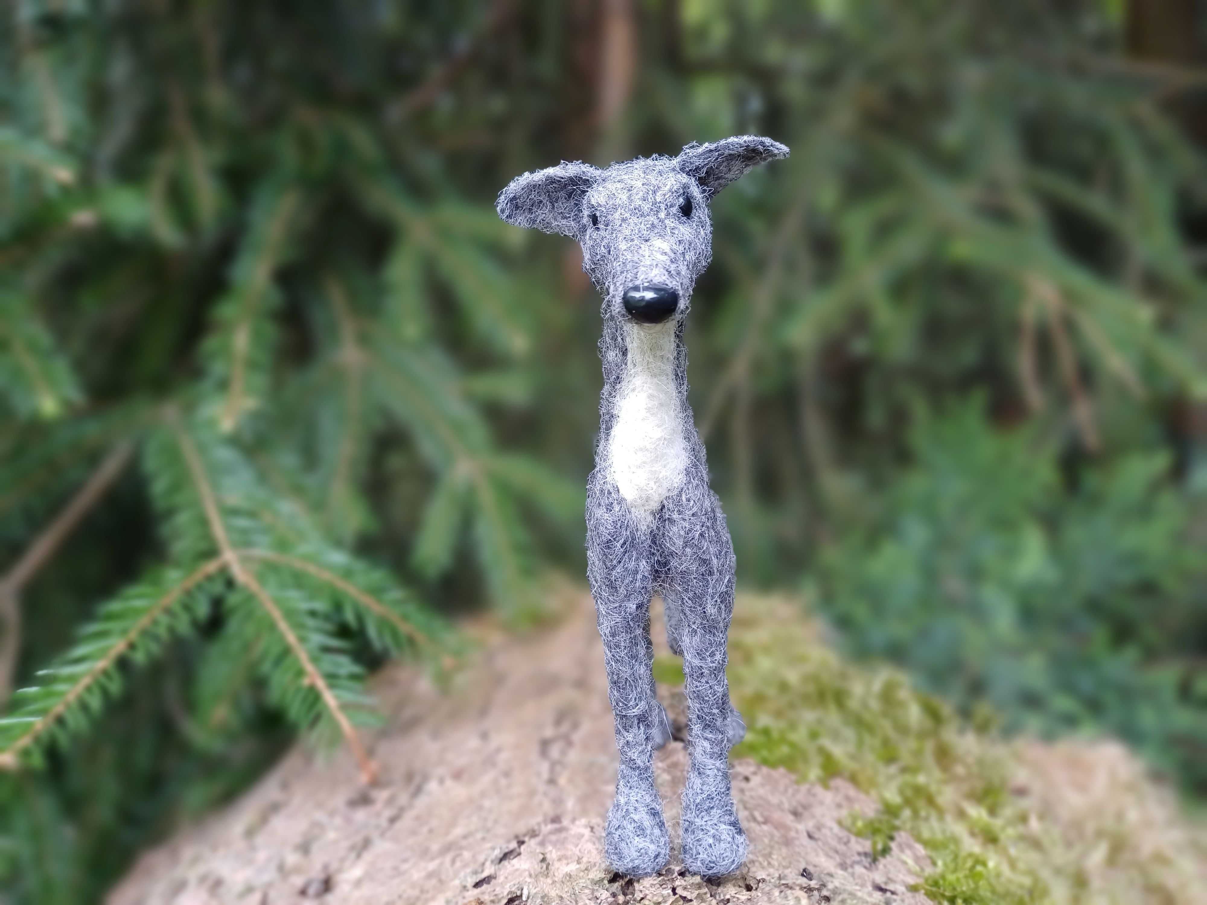 Whippet, chart włoski filcowana figurka psa