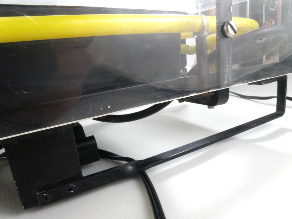 Neon reklama piwa Corona