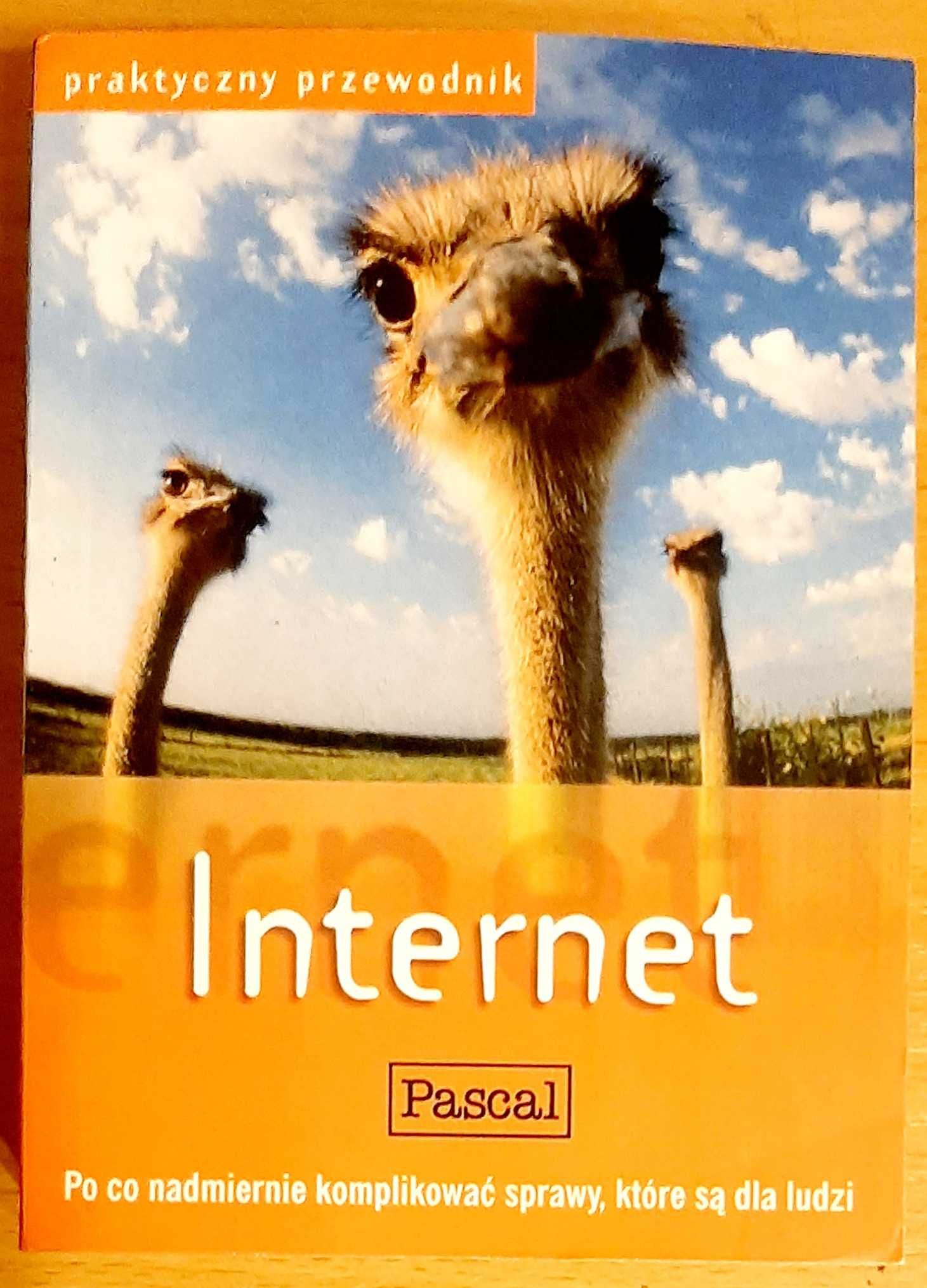 Internet, Pascal