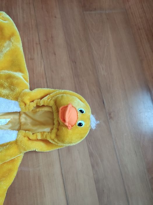 Vendo fato de carnaval