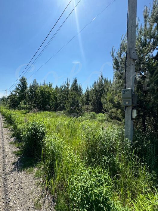 Продам Земельну Ділянку 10сотих,ЛІС,ОЗЕРО,середСОСЕН,закрита територія