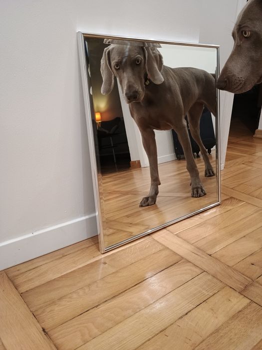 Lustro ścienne 54x56