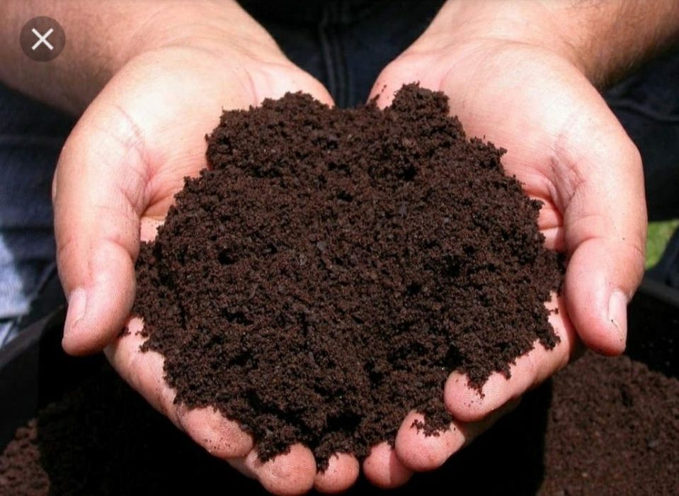 Продам перегній, перегной удобрение коров'ячий удобрение